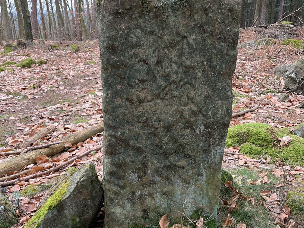 23-02-26 12-15-34 4350